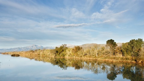 Can Picafort envoltat de natura 2d: Camí d'enmig - ses Puntes