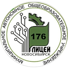 Лицей №176