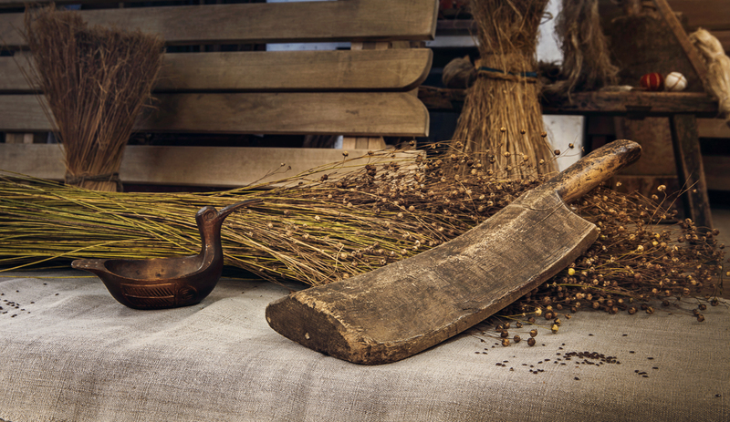 34d6d595-c380-4b2f-a34c-a504cda0540a_800