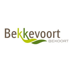 gemeente Bekkevoort
