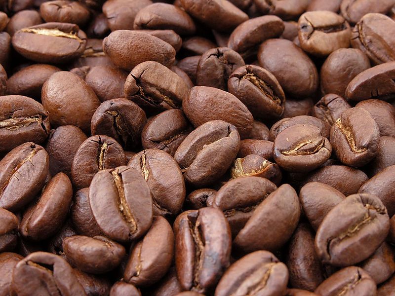 La Pianta Del Caffe Coffea Arabica Izi Travel
